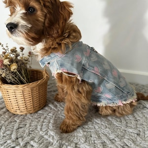 Könnte beinhalten: Ein kleiner, braun-weißer Hund trägt eine hellblaue Jeansjacke mit rosa Herzmustern. Die Jacke hat einen ausgefransten Saum. Der Hund sitzt auf einem grauen, strukturierten Teppich neben einem kleinen Weidenkorb mit Trockenblumen.