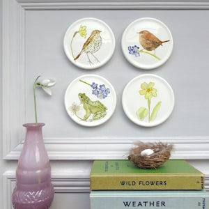 May include: Four white ceramic coasters with watercolor illustrations of a frog, a bird, a flower, and another bird. The coasters are displayed on a white wall with a vase of white flowers and a stack of books with the titles "Wild Flowers" and "Weather".