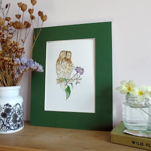 Tawny Owl Giclée Print - A5 wildlife fine art print - nursery print - child&#39;s bedroom print -owl print - wildlife print - owl painting