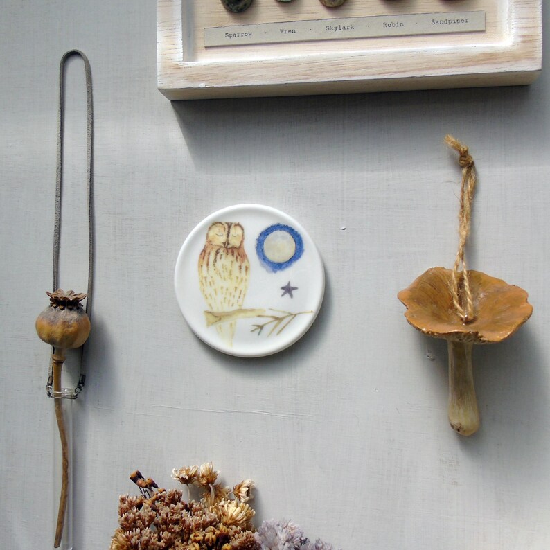 Tawny Owl mini wall plate - owl Homeware Gift - Nature wall art - Wall Decor-Bird Decor-Bird Gift Idea-Nature Gift-Decorative Plates 画像 5