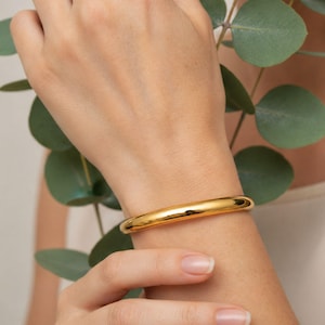 May include: A polished gold bangle bracelet. The smooth, rounded bracelet is worn on a wrist, reflecting light. The image shows a close-up of the bracelet and part of a hand, with green leaves in the background.