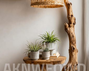 Reclaimed Teak Root Floor Lamp with Plant Shelf, Organic Modern Rattan Shade