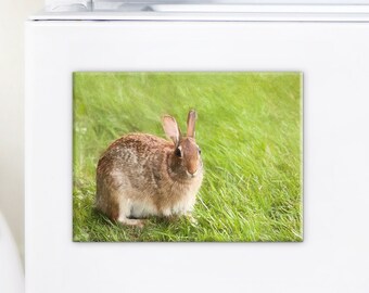Cute Bunny Rabbit Fridge Magnet, Bunny Decor, Child Gifts, Kitchen Decor, Birthday Gift Ideas, Small Gifts, Easter, Stocking Stuffer