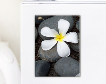 Hawaiian Plumeria, Fridge Magnet, Kitchen Decor, Birthday Gift Ideas, For Her, For Him, Hawaii Home Decor, Small Gifts, Housewarming