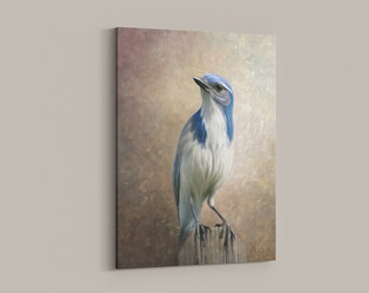 California Scrub Jay Bird Photography Canvas Wrap Birthday Gift for Bird Lover, Bird Watcher, Bedroom Decor, Home Office, Bathroom