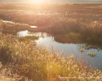 Golden Sunrise Landscape, Morning Over Wetland, Nature Photography, Yellow and Brown Wall Art,