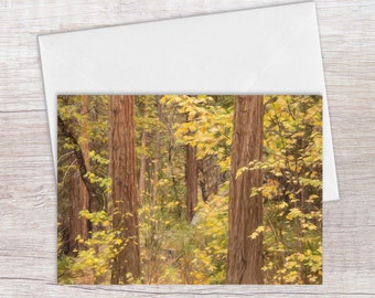 Yosemite Fall Foliage Greeting Card, Birthday Card, Housewarming, Thinking of You, Thanksgiving, California Autumn Note Cards, Blank