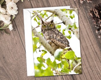 Greeting Cards - Great Horned Owl  - Owl Stationary - Blank Cards - Any Occasion Card - Printed on Recycled Paper