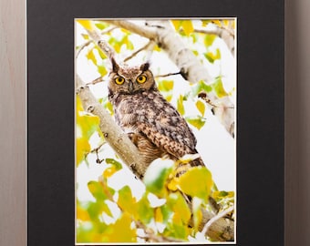 May include: A framed print featuring a detailed image of a Great Horned Owl perched on a tree branch. The owl has brown and white mottled feathers, yellow eyes, and is surrounded by green and yellow leaves. The print is matted and framed in black.