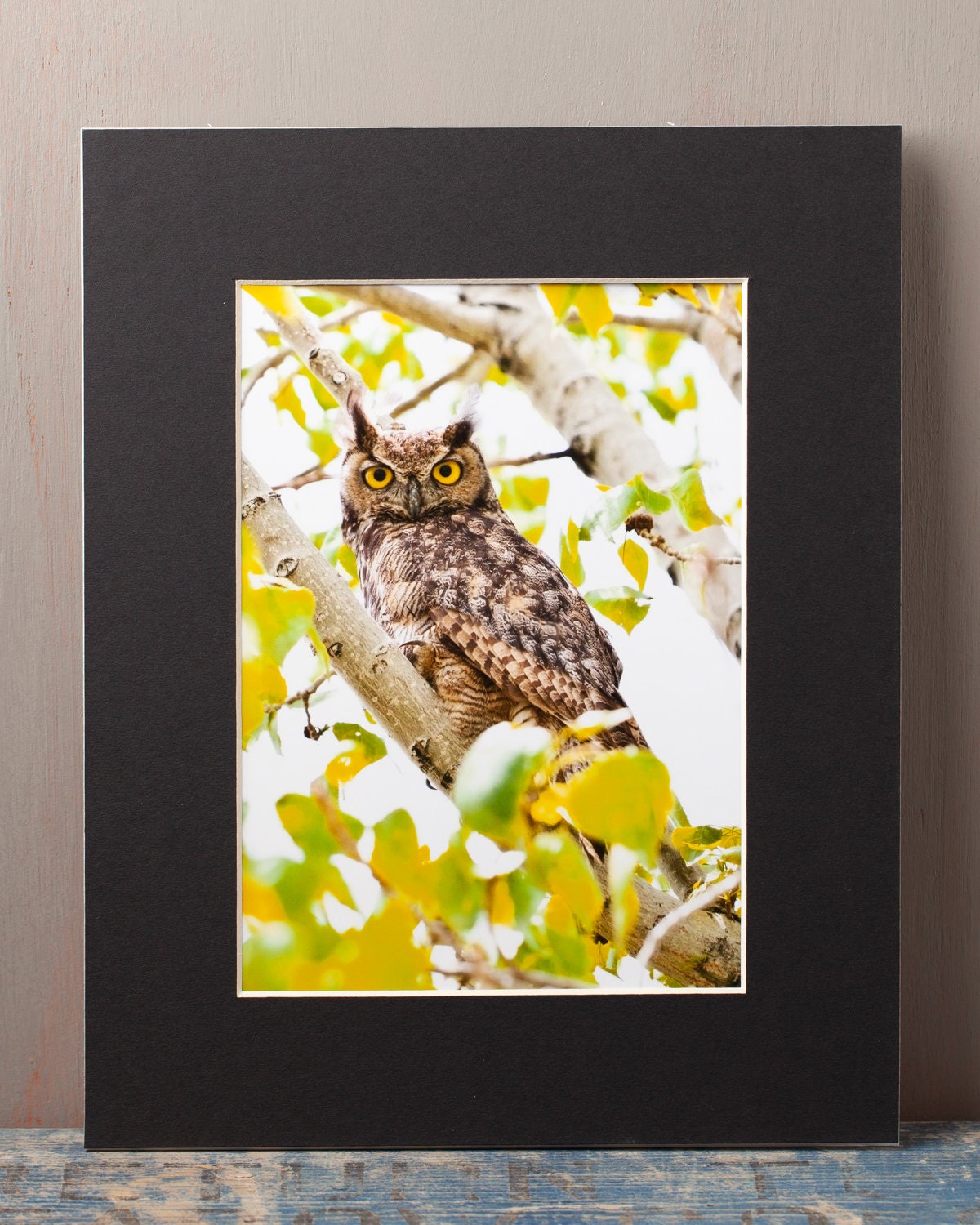 Great Horned Owl – 5"x7" Matted Print, Owl Wall Art, Forest Wildlife Photography, Gi