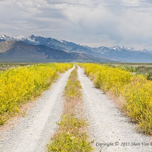 Cheerful Vibrant Yellow Wall Art, Spring Decor, Nevada Landscape Photography, Ruby Lake, Peaceful Prints for Home or Office, Living Room Art