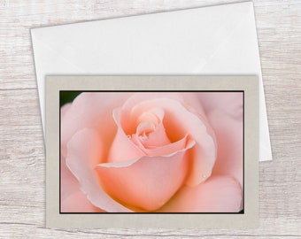 Pink Rose Greeting Card, Blank Inside, Thinking of You, Valentine's Day, Mother's Day, Love, Just Because Card, for Flower Lovers, Gardeners