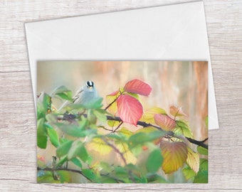 Bird Greeting Card - White-Crowned Sparrow Stationary - Blank Inside - Any Occasion Card - Card for Bird Lovers - Printed on Recycled Paper