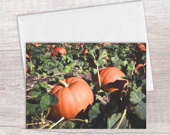 Autumn Greeting Card - Fall Birthday Card - Happy Halloween - Happy Thanksgiving Greeting Card - Pumpkin Patch Stationary - Blank Inside