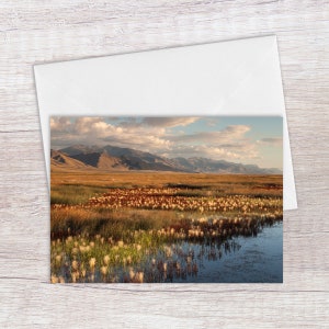 May include: A scenic landscape photograph featuring a mountain range in the distance, a field of tall grass with white flowers, and a small body of water reflecting the sky.