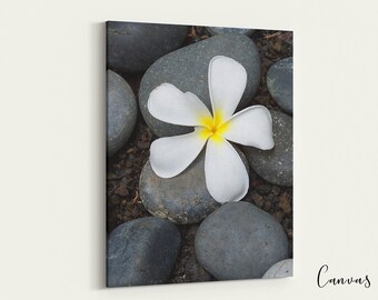 Plumeria Flower Canvas Wrap OR Metal Print, Hawaiian Wall Art, Hawaii Photography, Tropical Decor, Gift for Hawaii Lover, Home Decor