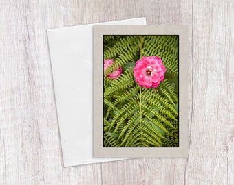 Greeting Cards - Pink Rose  - For Her - Blank Note Cards - Birthday, Just Because - Printed on Recycled Paper