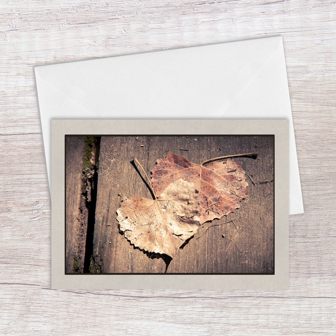 Autumn Leaves Greeting Card – Blank 5x7 Fall Note Card, Rustic Nature ...
