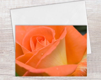 Orange Rose Greeting Card, Blank Cards, Card for Girlfriend, Spring or Summer Birthday Card, Thinking of You, Portland Rose Garden