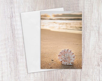 Seashell on Beach, Ocean Inspired Greeting Cards, Summertime, Thinking of You, Blank Cards, Beach Gifts, Note Cards with Envelopes