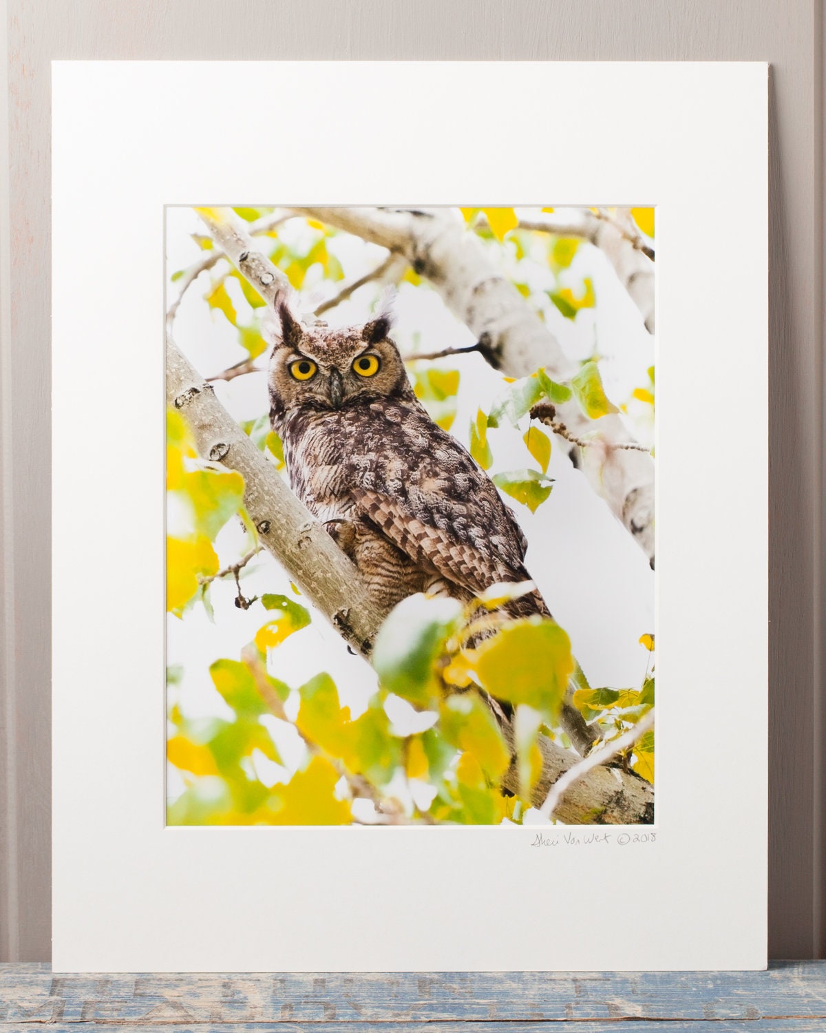 Great Horned Owl – 8"x10" Matted Fine Art Print, Wildlife Photography, Nature Wall A