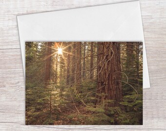 Greeting Cards, Forest Card, Blank Cards, All Occasion Card Set, Note Cards with Envelopes, Forest Photography, Nature Photography