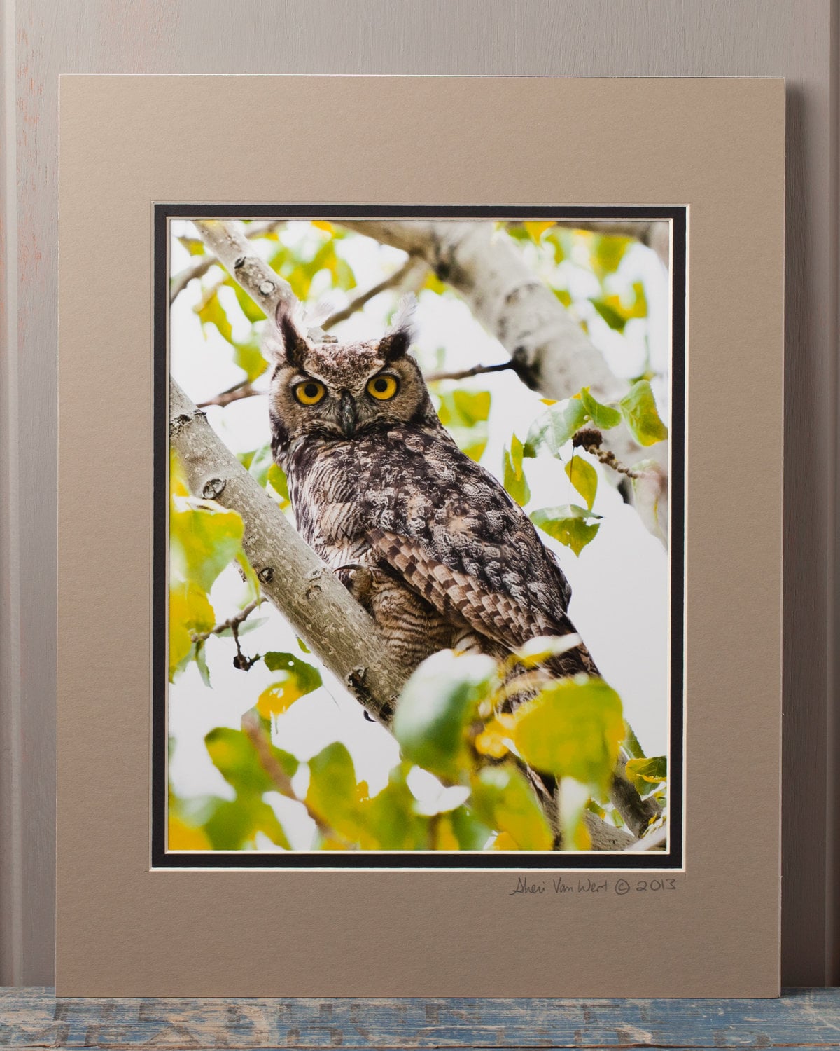 Great Horned Owl – 8"x10" Double-Matted Fine Art Print, Wildlife Wall Art, Nature De