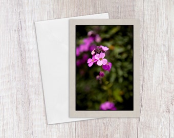 Purple Wallflower Greeting Card, Thinking of You Cards, Birthday Card for Friend, Flower Photography, Note Cards, Blank Cards