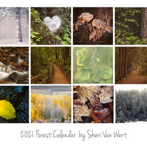 2021 Calendario de escritorio Fotografía del bosque Home | Etsy