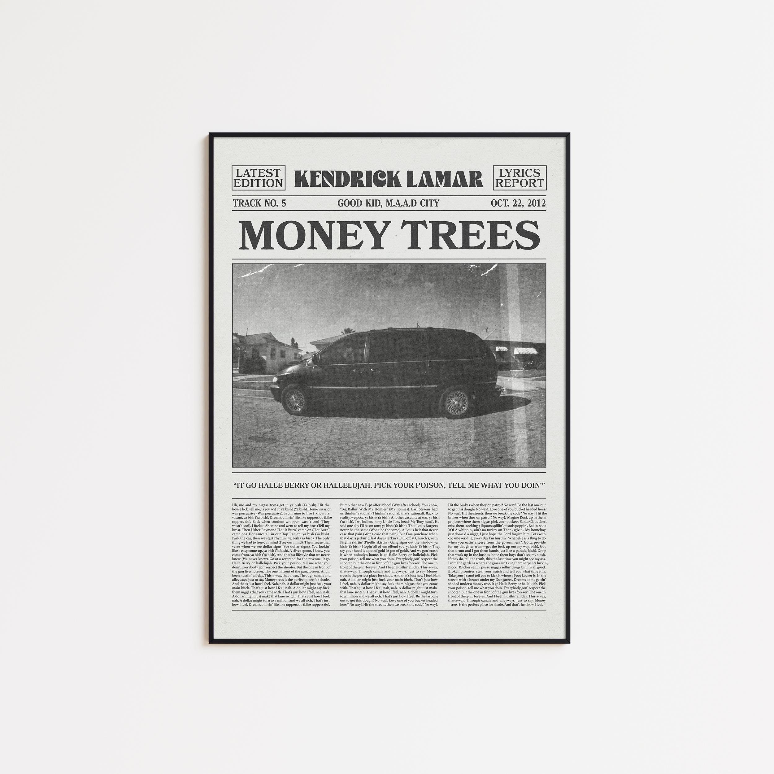 lucky money tree plant Lucky Plant Bundle