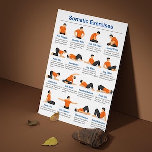 May include: A poster titled "Somatic Exercises" displays illustrations of various exercises. The exercises include neck releases, shoulder rolls, back arch & curl, seated twist, pelvic tilts, knee drops, hip slides, leg slides, cat stretch, side bend, hamstring release, pelvic lift, head lifts, arm openers, ankle rotations, and spinal relaxation.