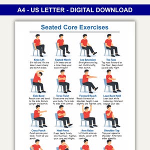 Puede incluir: Una guía de fitness descargable digitalmente titulada "Ejercicios centrales sentados". La guía presenta ilustraciones de varios ejercicios, incluyendo levantamiento de rodillas, giros de torso y elevaciones de brazos. Cada ejercicio se demuestra con una persona con camisa roja y pantalón negro.