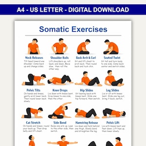 Könnte beinhalten: Ein digitaler Download-Druck mit dem Titel "Somatische Übungen" auf A4-Papier. Der Druck zeigt Illustrationen und Anweisungen für verschiedene Übungen, darunter Nackenübungen, Schulterrollen und Beckenkippen. Die Übungen sollen die Flexibilität verbessern und Verspannungen reduzieren.