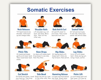 Somatic Exercises Chart, Somatic Exercise Poster, Somatic Exercise Cards, Somatic Workout Pdf, Printable Exercise Charts, Pdf Exercise