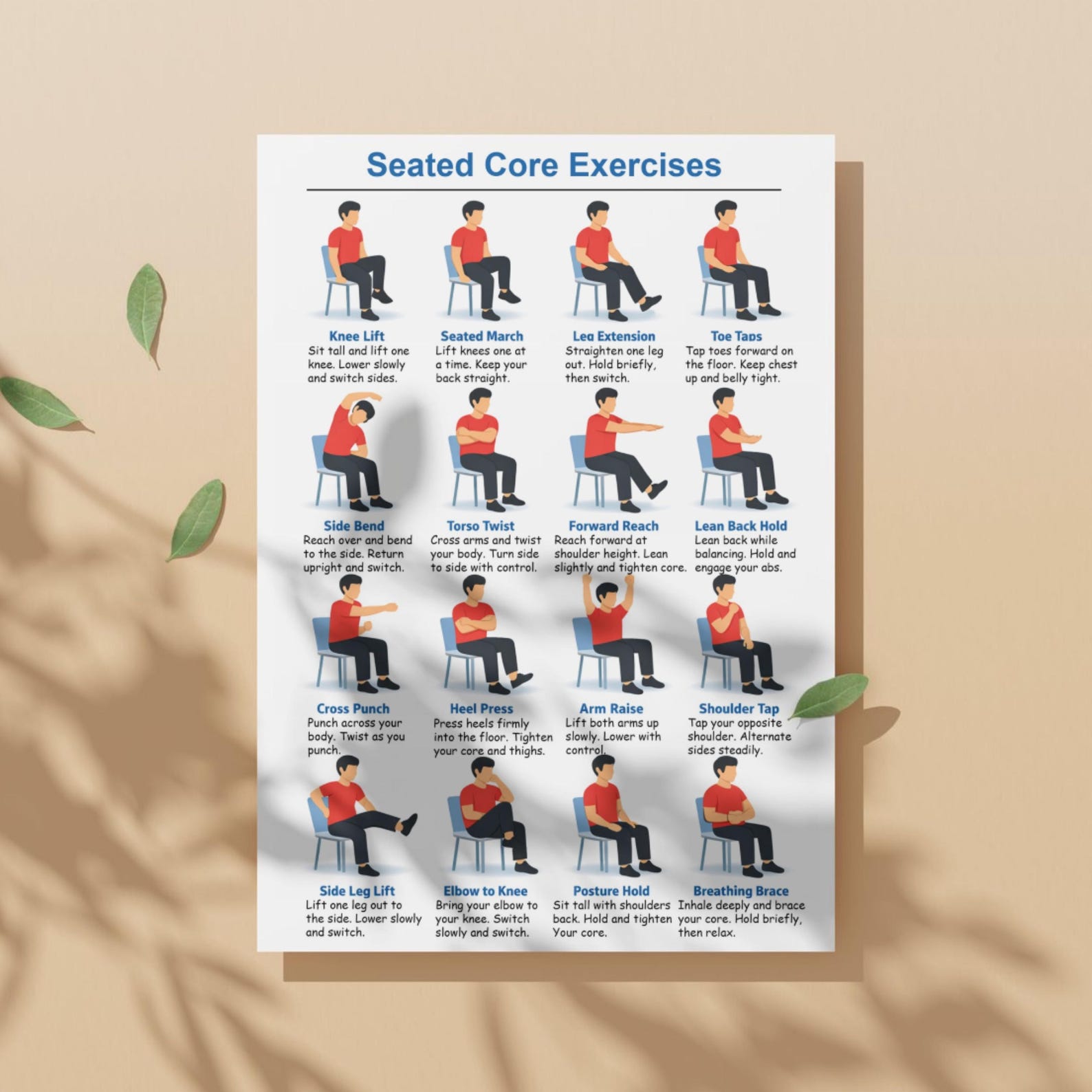 Seated Core Exercises Chart, Chair Core Exercises Poster, Core Workout ...