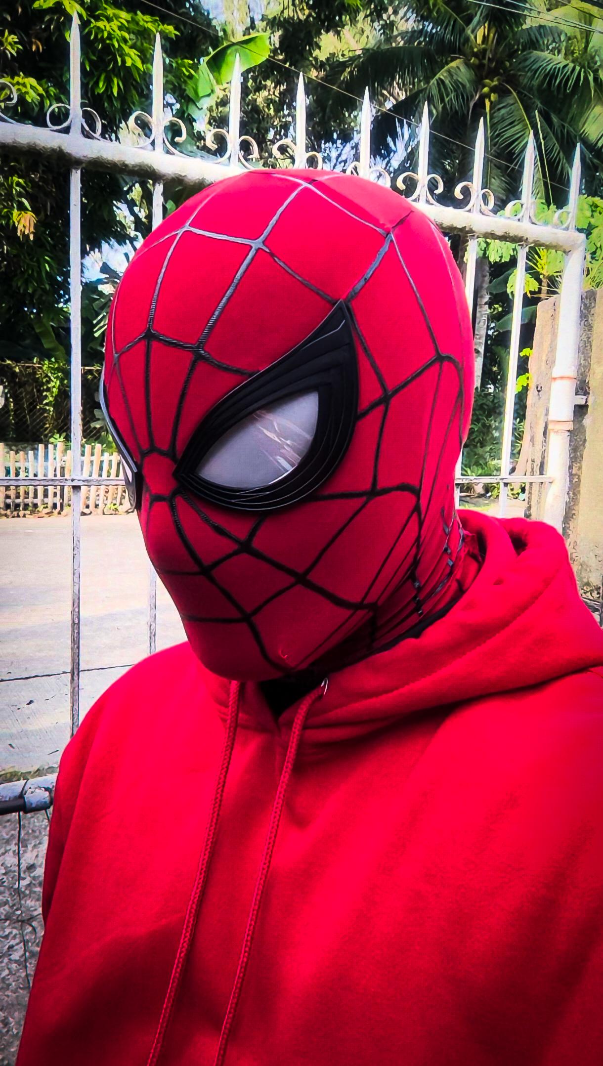 Spiderman brand new day mask - Etsy 日本