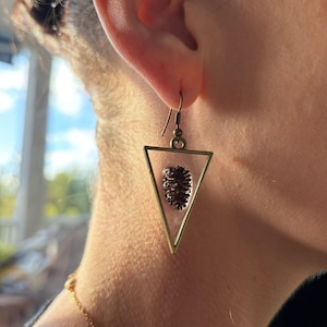 Puede incluir: Un pendiente de color bronce con un marco triangular. Dentro del marco hay una pequeña piña marrón oscuro. El pendiente cuelga de un gancho. El fondo está borroso, mostrando una oreja.