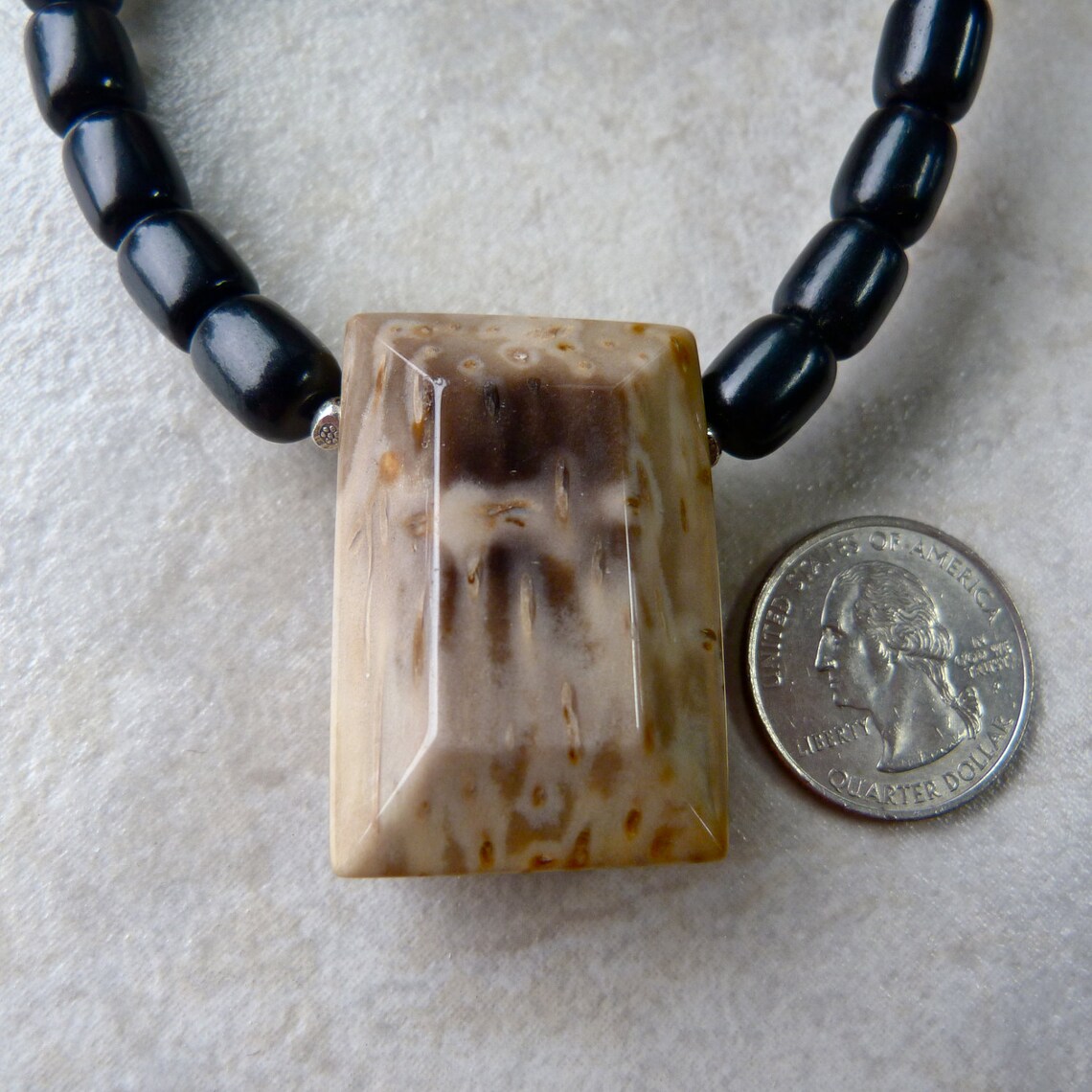 Buy Stunning Texas Petrified Palm Wood Pendant With Fossil Coral Online in India Etsy