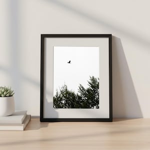 Puede incluir: Impresión artística enmarcada que presenta un paisaje minimalista. Un pájaro negro vuela contra un cielo blanco brillante sobre una fila de árboles verde oscuro. La obra de arte se muestra en un marco negro con un paspartú blanco.