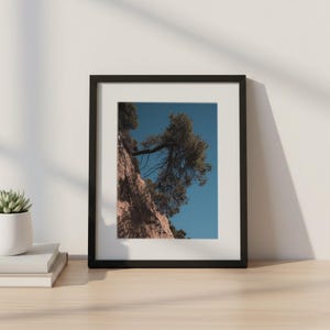 Op de afbeelding: Ingelijste kunstdruk met een laag perspectief van een boom tegen een blauwe lucht. De takken van de boom strekken zich uit over het frame, met een getextureerde bruine stam. De print zit in een zwart frame, weergegeven op een houten oppervlak.