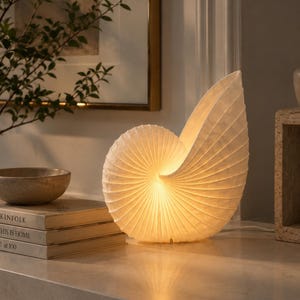 Nautilus Seashell Table Lamp, Coastal Ambient Nightlight, Spiral Shell Desk Light, Beach House Decor