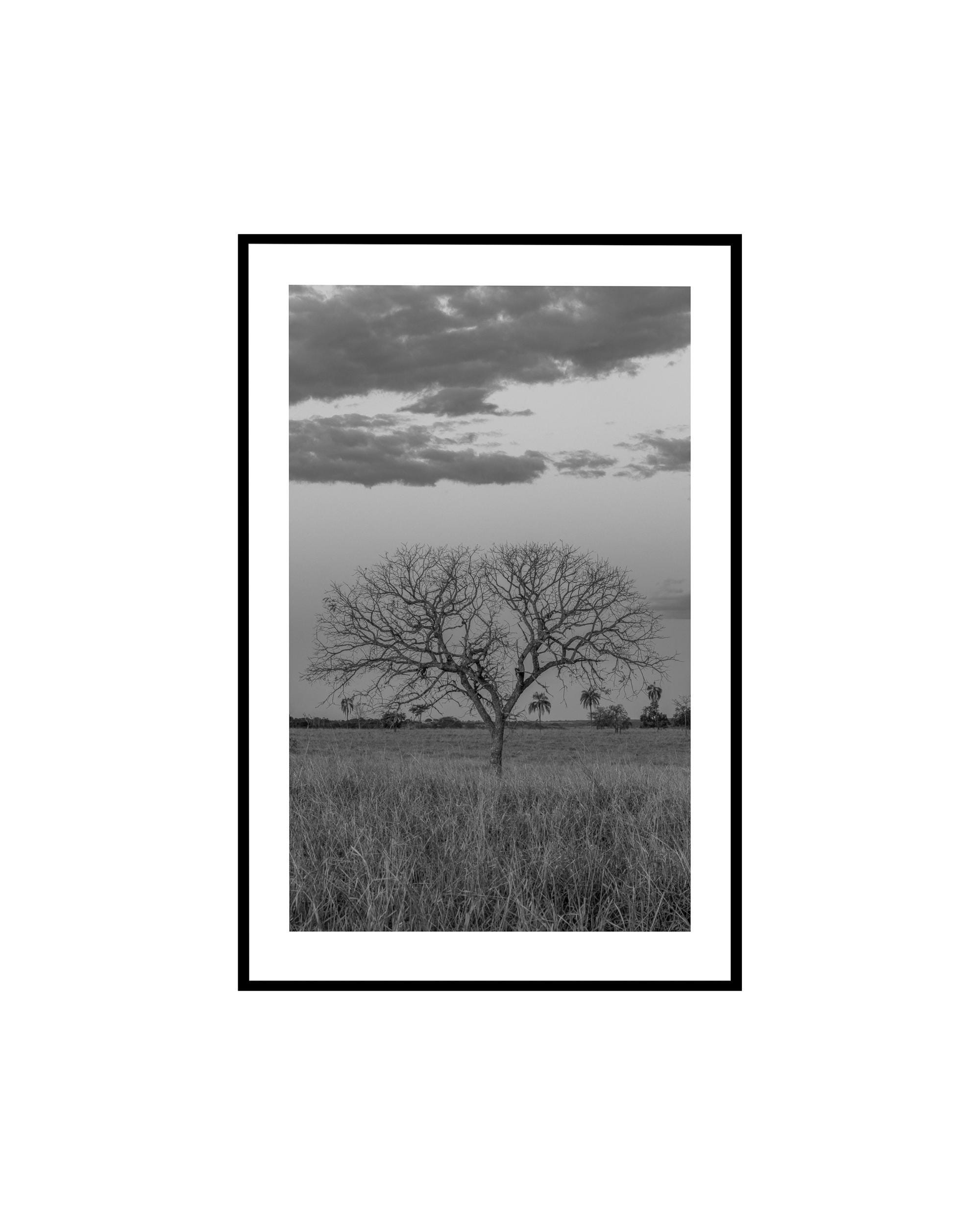 Ansel adams tree print - Etsy 日本