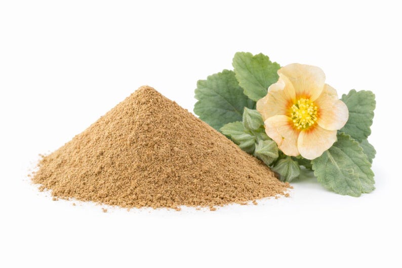 Bala Root Powder (sida Cordifolia) – Botanical Raw Material - Etsy