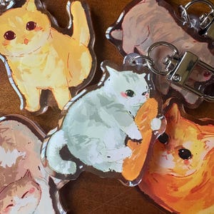 Llaveros acrílicos de gatos graciosos / Acabado epoxi de doble cara