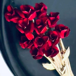 DM Dozen Red Roses Vintage Brooch- signed