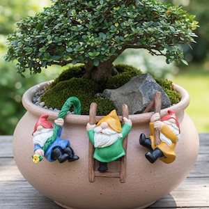 May include: A bonsai tree in a beige ceramic pot, decorated with three colourful garden gnomes. One gnome climbs a rope, another a ladder, and the third swings on a pole. The pot is filled with moss and a small rock.