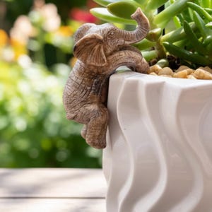 May include: A decorative elephant figurine in a brown finish clings to the side of a white ceramic planter. The planter holds a succulent plant with green leaves and small pebbles. The planter has a wavy design.