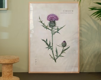Szkocki oset ścienny – japoński nadruk w stylu vintage – Flora Home Decor – akwarelowa ilustracja kwiatowa