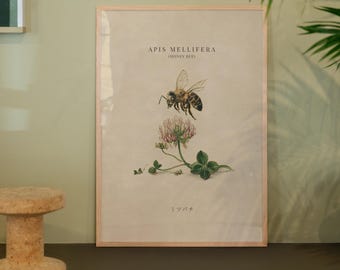 Botaniczna sztuka ścienna z pszczołą miodną, kolorowy plakat z akwarelową pszczołą, wydruki w stylu vintage, wystrój domu Cottagecore