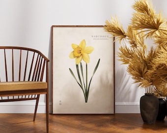 Walijski żonkil – grafika ścienna w stylu vintage z Walii – kwiatowy wystrój domu – ilustracja botaniczna w stylu japońskim